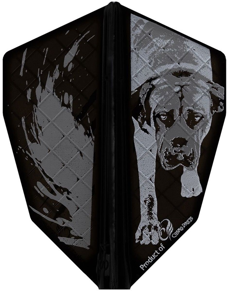 Cosmo Darts Fit Flights Lukasz Waclawski Black Pro S-4 Flights