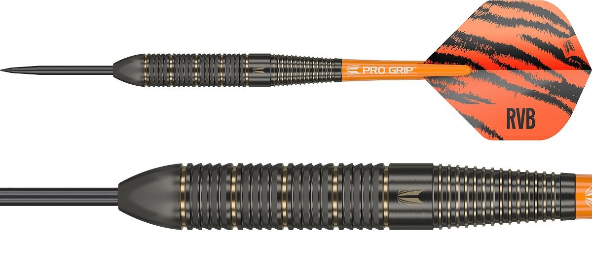 Target Brass Raymond van Barneveld Steeldarts 2023 22 Gram Steeldarts