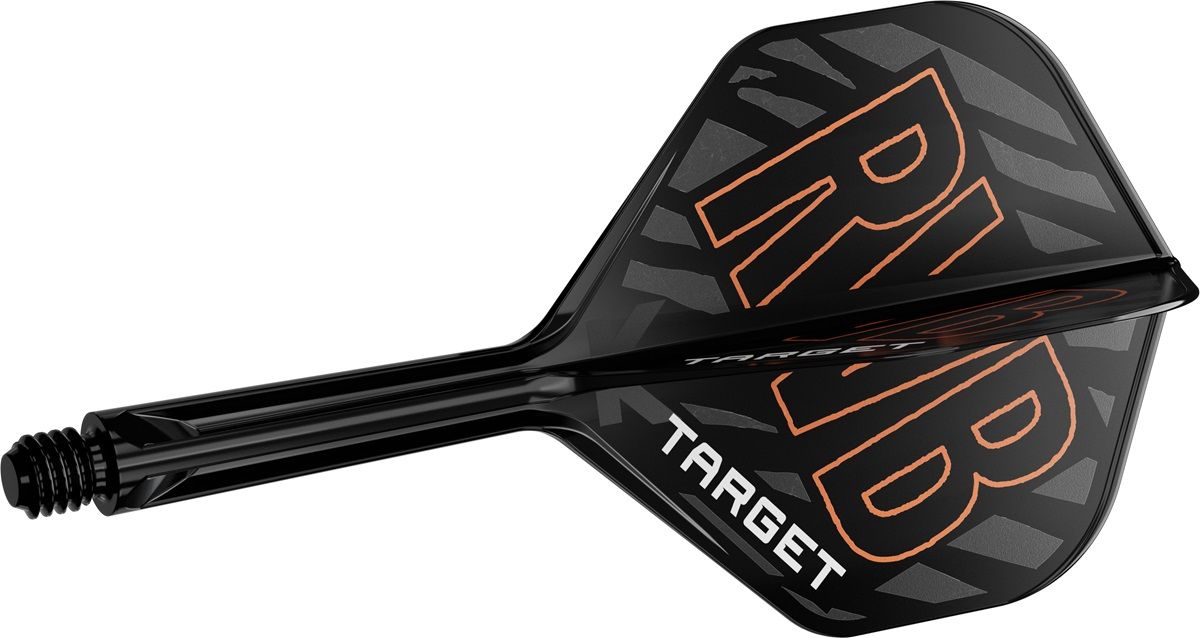Target K-Flex Raymond van Barneveld Shaft/Flight System Standart No2 Shafts