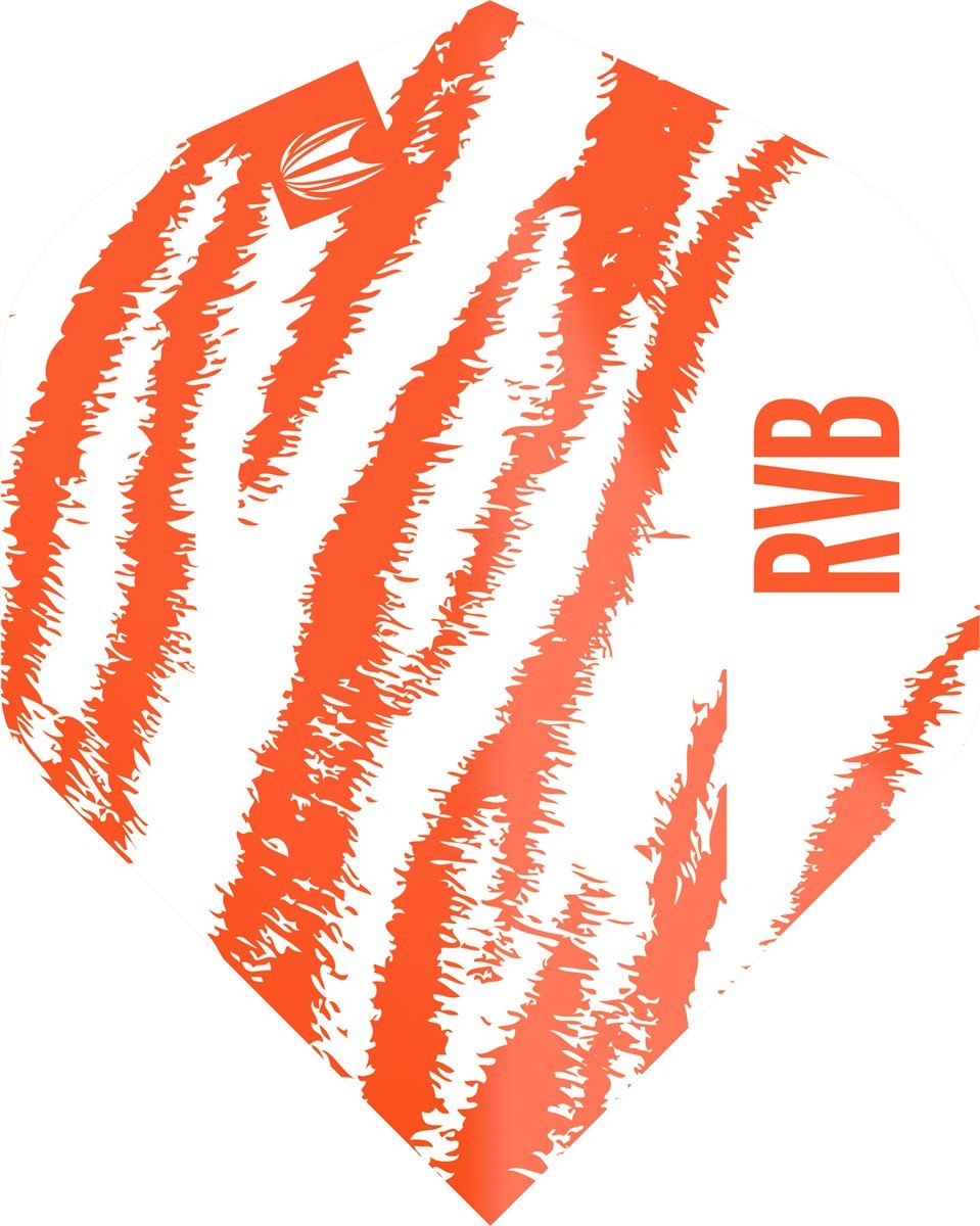 Target Pro Ultra Player RVB Raymond van Barneveld Brass Standard No2 Flights