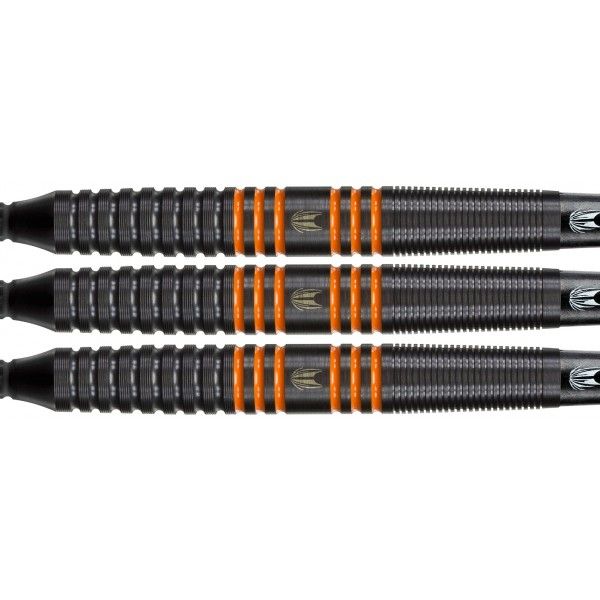 Target 80% Raymond van Barneveld RvB Black Tungsten Softdarts 20 Gramm Softdarts
