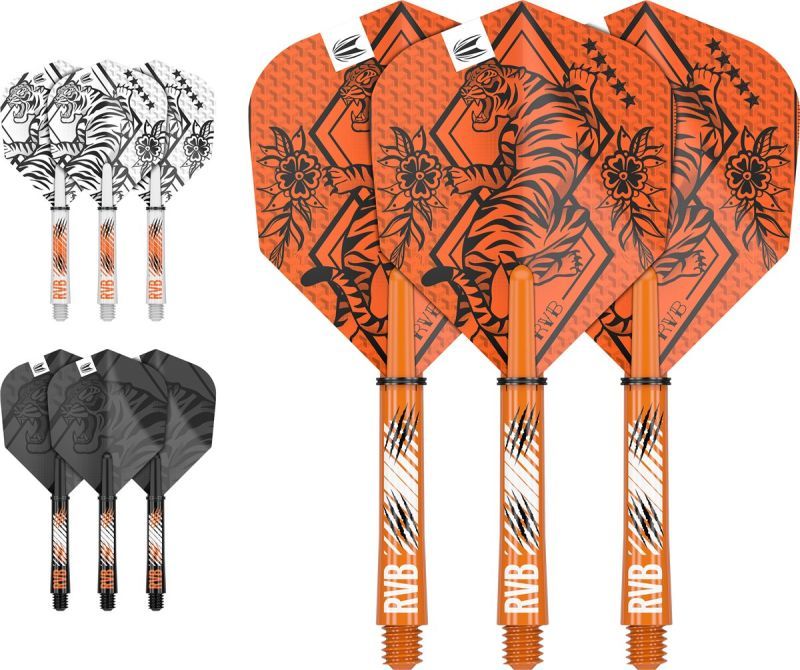 Target 3 Set Shaft/Flights NO6 INK Kit Raymond van Barneveld 2023 Flights