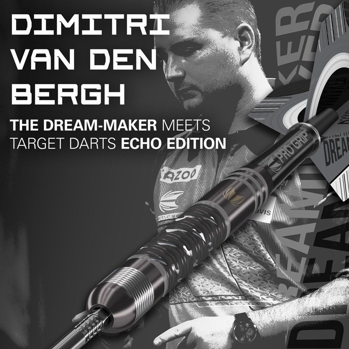 Target Dimitri van den Bergh Echo 90% SP Steeldarts 22/23/24 Gramm Steeldarts