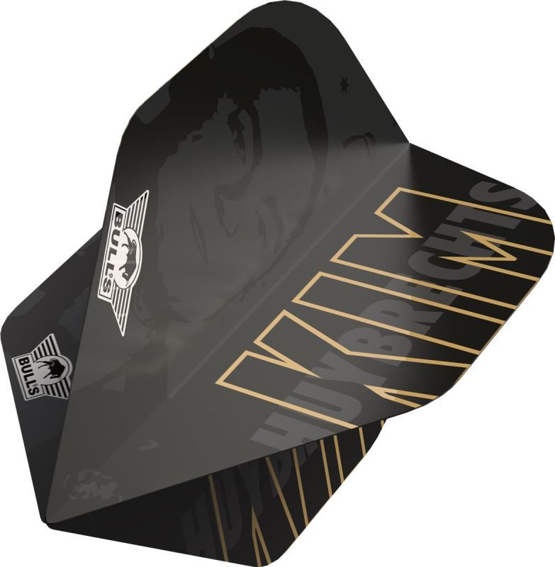 Bull's Kim Huybrechts 80% Fléchettes à pointe acier 23/25 Grammes Steeldarts
