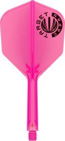 Target Cathy Leung Charis G5 MAX 95% 2BA Softdarts 21 Gramm Softdarts