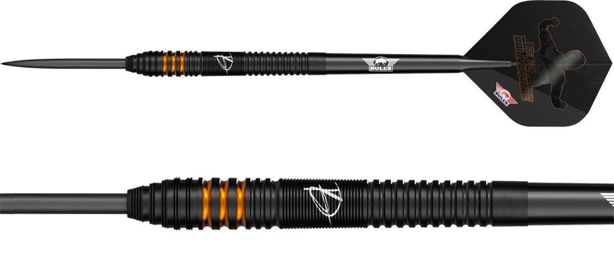 Bull´s Dirk van Duijvenbode E2 Gen2 24/25 Gramm Steel Dart Steeldarts