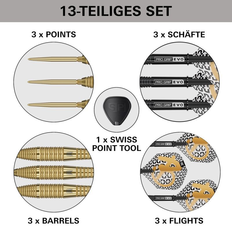 Target Bolide Envy 05 Swiss Point 90% Steeldarts 22/24/26 Gram Steeldarts