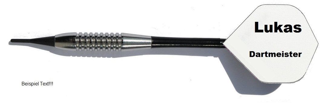 3 x Dartpfeile Chrom + 10 Satz Flights mit eigenem Aufdruck Geschenkidee Softdarts