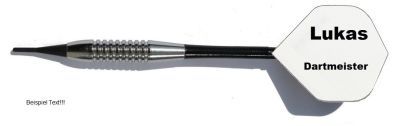 3 x Dartpfeile Chrom + 10 Satz Flights mit eigenem Aufdruck Geschenkidee Softdarts