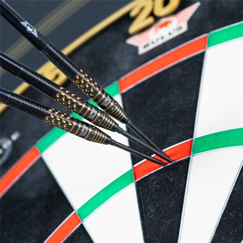 Bull´s Richard Veenstra E2 CP 90% Steeldarts 23/25 Gramm Steeldarts