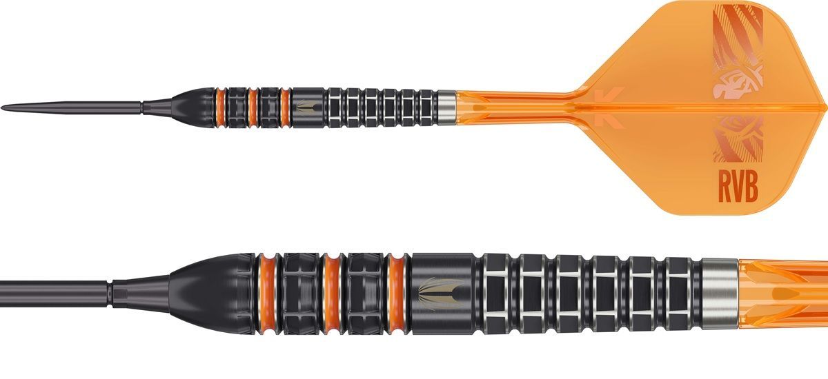 Target Raymond van Barneveld 95K SP 95% Steeldarts 21/23/25 Gram Steeldarts