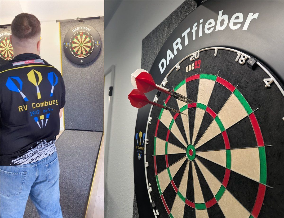 ONE80 Gladiator 4 Surge Dartboard Bristle Board