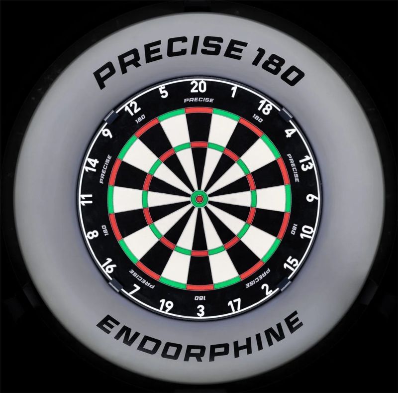 1 tlg. Precise180 Endorphine Graphite Dart Catchring Dart Auffangring Surround Auffangring