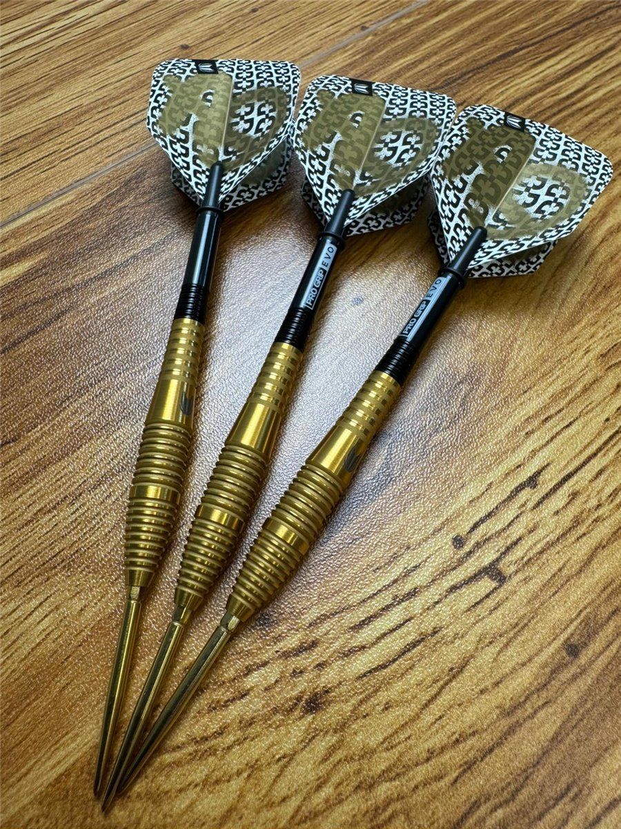 Target Bolide Envy 05 Swiss Point 90% Steeldarts 22/24/26 Gramm Steeldarts