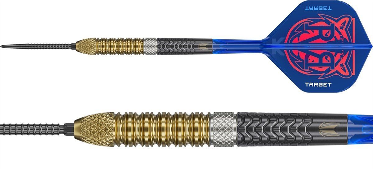 Target Raymond van Barneveld Gen6 Swiss Point 95% Fléchettes à pointe acier 21/23/25 Grammes Steeldarts