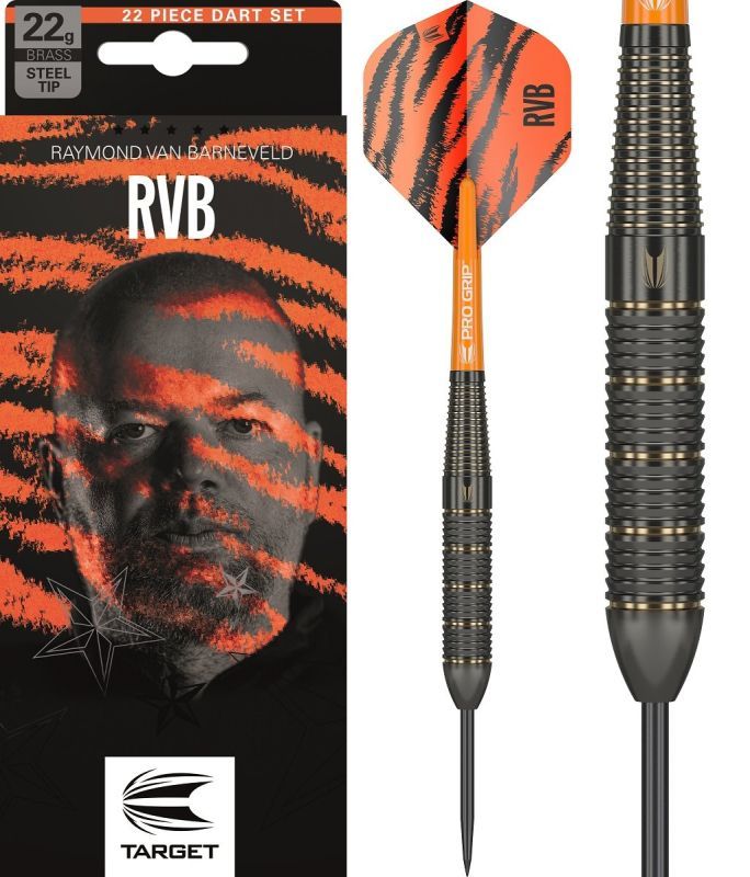 Target Brass Raymond van Barneveld Steeldarts 2023 22 Gram Steeldarts