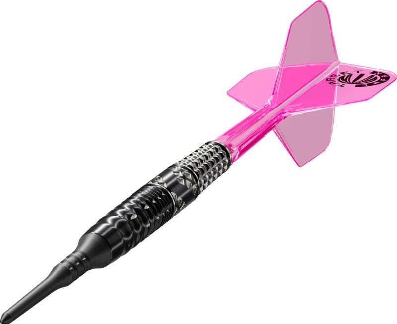 Target Cathy Leung Charis G5 MAX 95% 2BA Softdarts 21 Gramm Softdarts