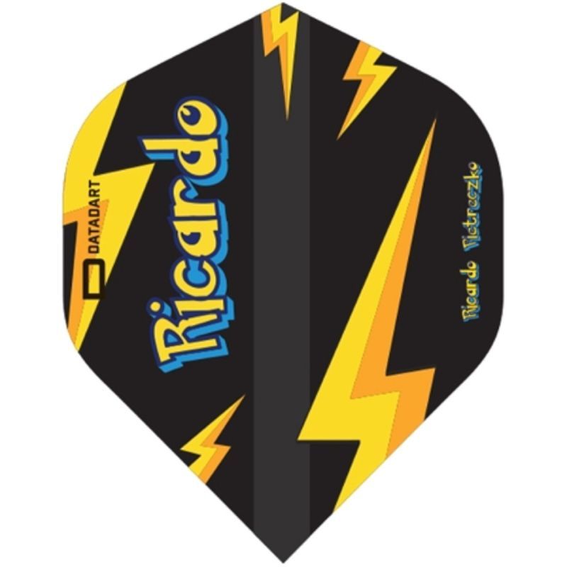 Datadart Dart Flights Ricardo Pietreczko Standard Flights