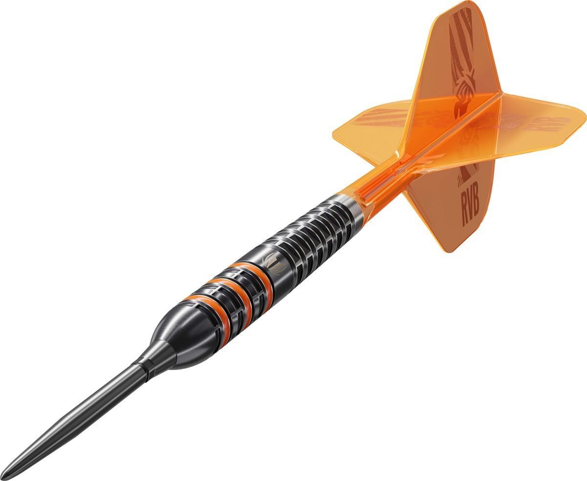 Target Raymond van Barneveld 95K SP 95% Steeldarts 21/23/25 Gram Steeldarts
