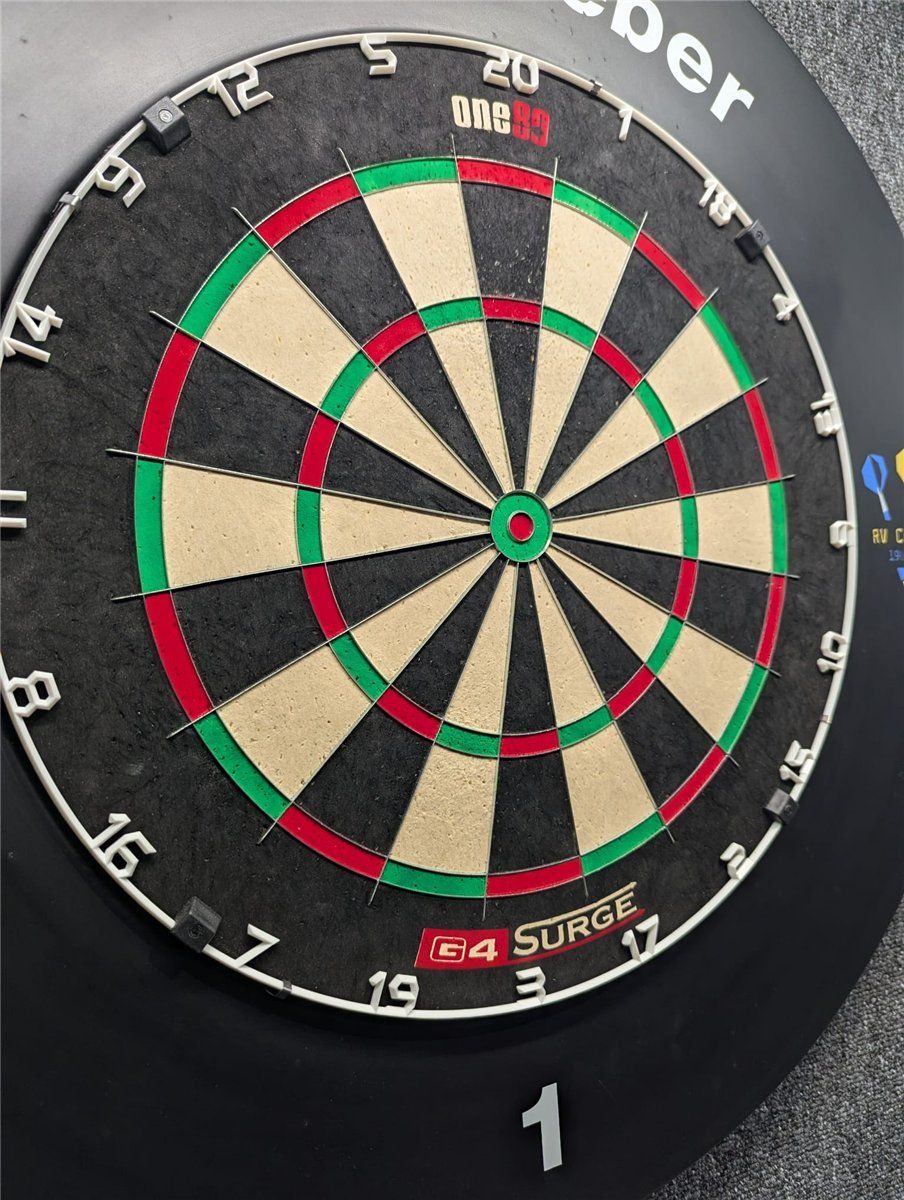 ONE80 Gladiator 4 Surge Dartboard Bristle Board