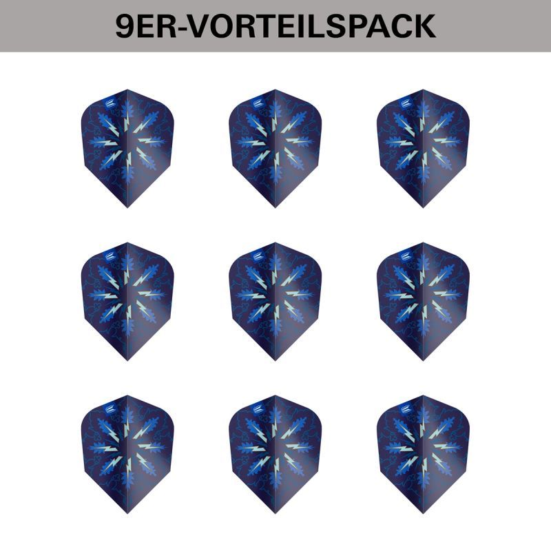 Target Pro Ultra Phil Taylor Power Gx2 Ten-X Flights