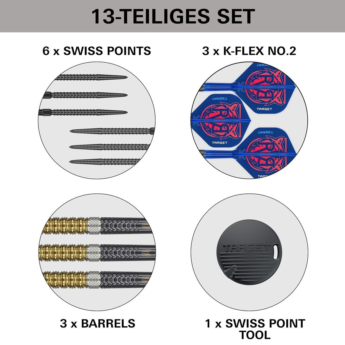 Target Raymond van Barneveld Gen6 Swiss Point 95% Fléchettes à pointe acier 21/23/25 Grammes Steeldarts