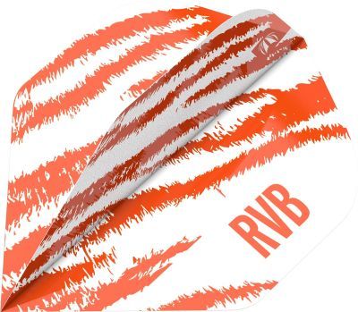 Target Brass Raymond van Barneveld Steeldarts 2023 22 Gram Steeldarts