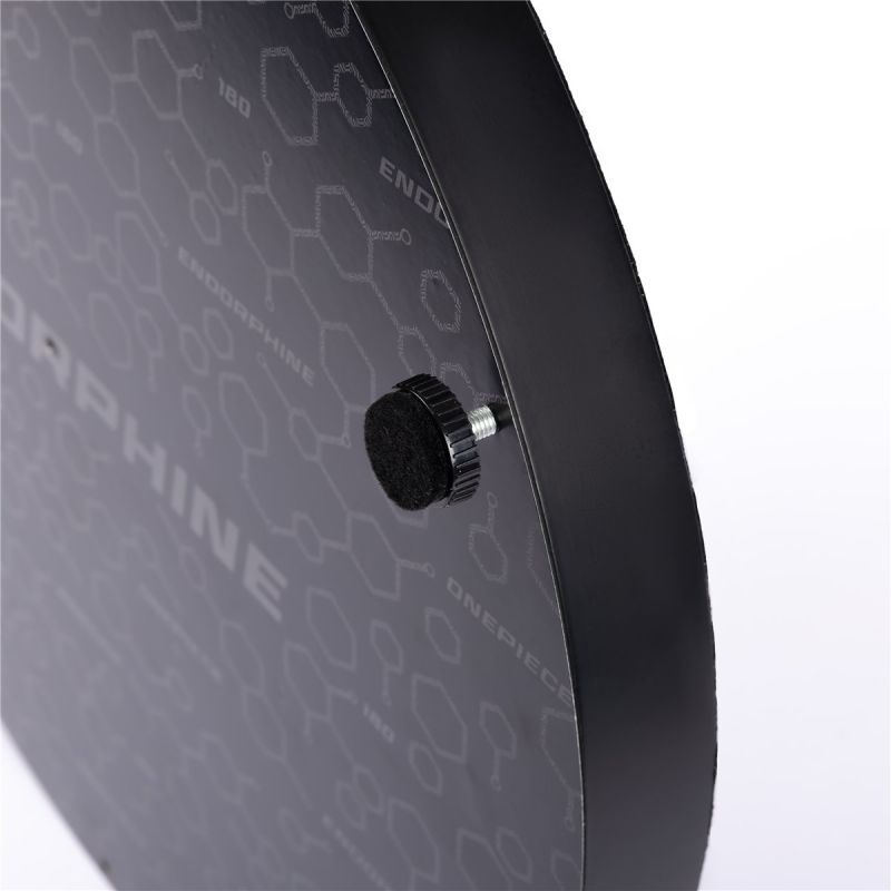 Precise180 Endorphine Dartboard inkl. Zahlenring Bristle Board