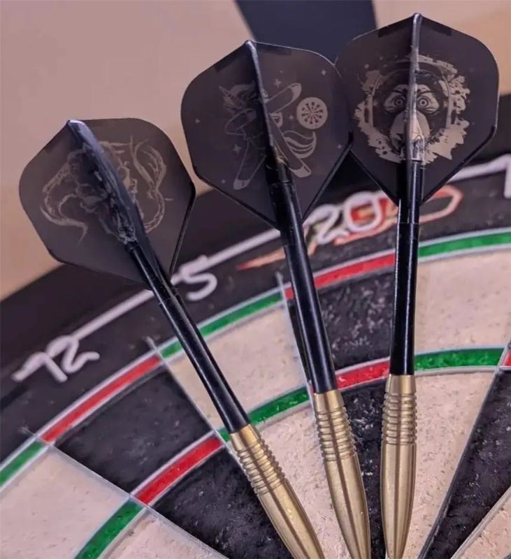 L-Style Champagne Pro Flight per freccette Standard/Shape eigenes Bild Logo Text personalisiert Flights