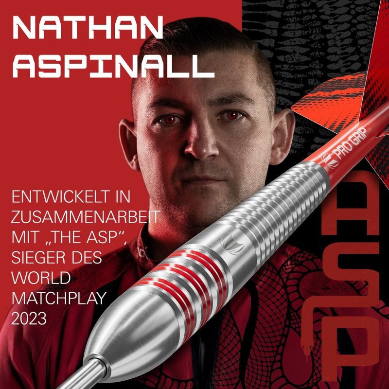 Target Brass Nathan Aspinall Steeldarts 22 Gram Steeldarts