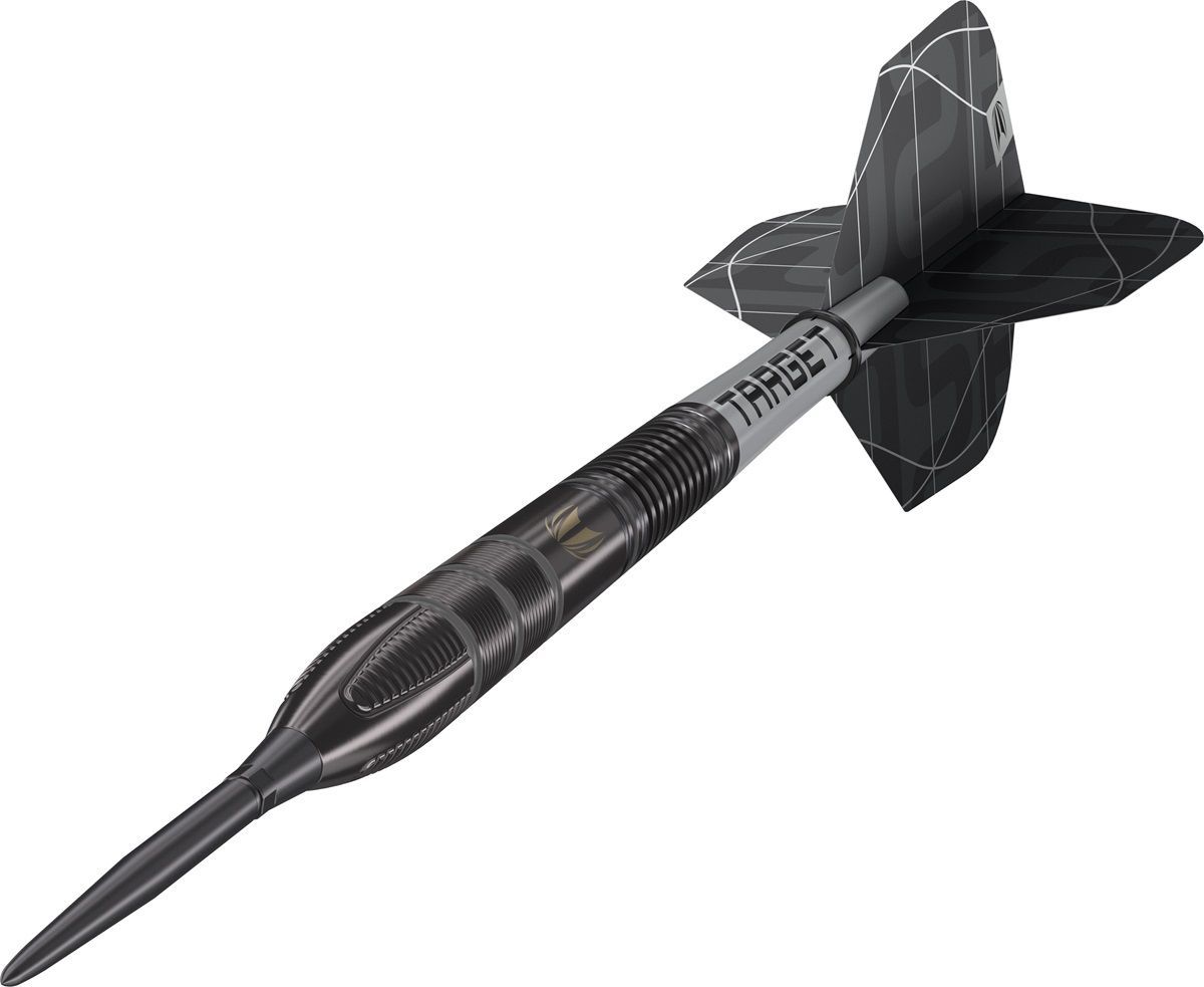 Target Nathan Aspinall Echo 90% SP Steeldarts 22/23/24 Gramm Steeldarts