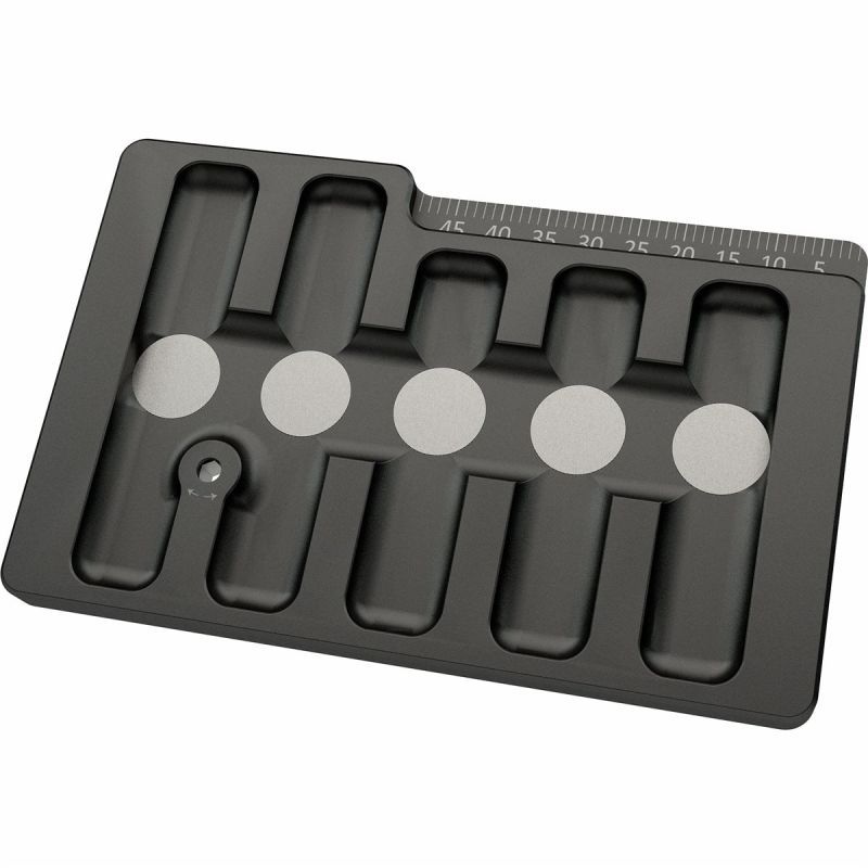 Target Swiss Point Safe Aufbewahrung Case