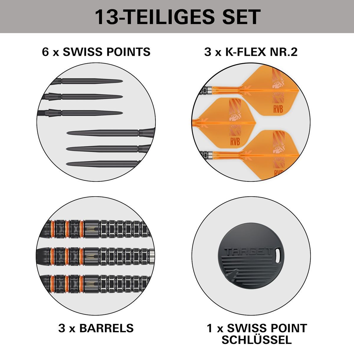 Target Raymond van Barneveld 95K SP 95% Steeldarts 21/23/25 Gram Steeldarts