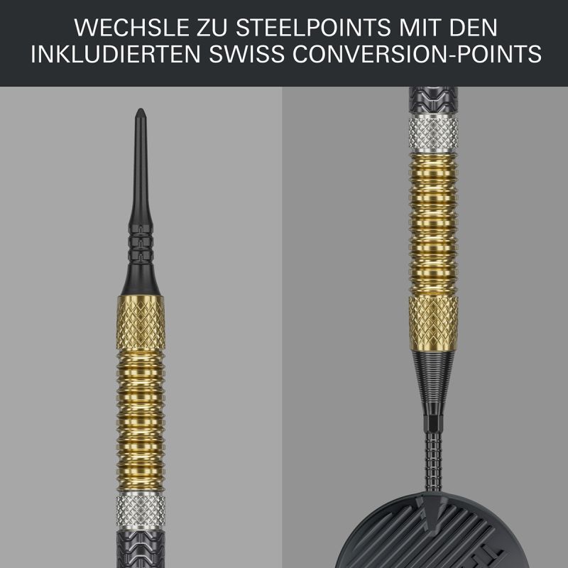 Target Raymond van Barneveld Gen 6 95% Softdarts 18/20 Gram Softdarts