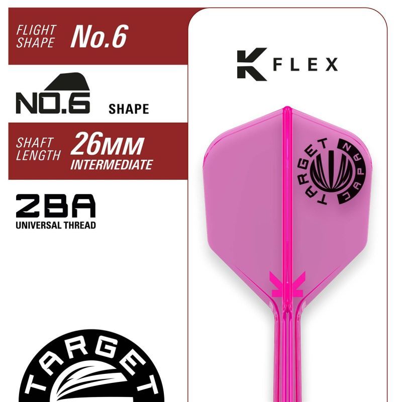Target Cathy Leung Charis G5 MAX 95% 2BA Softdarts 21 Gramm Softdarts