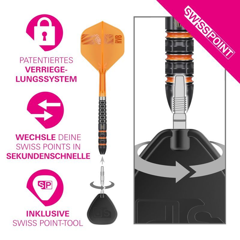 Target Raymond van Barneveld 95K SP 95% Steeldarts 21/23/25 Gram Steeldarts