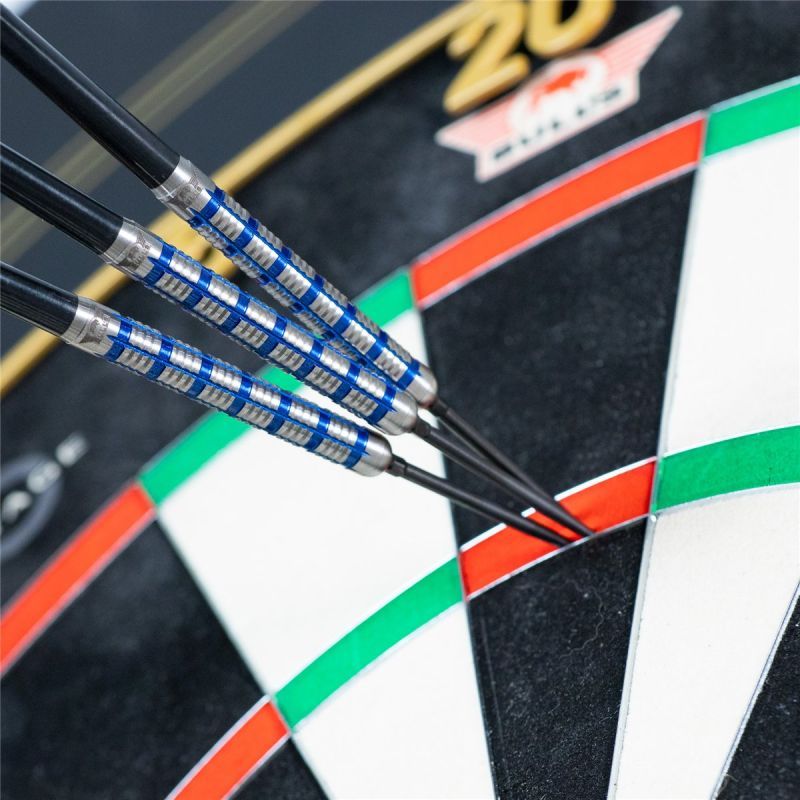 Bull´s Nicolas Thuillier CP 90% Steeldarts 21 Gramm Steeldarts