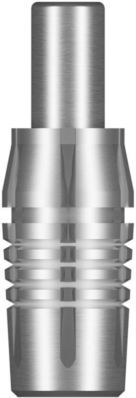 Shot! Thread Head Spitzen Adapter Point Adapter Schwarz/Silber Adapter für Wechselspitzen