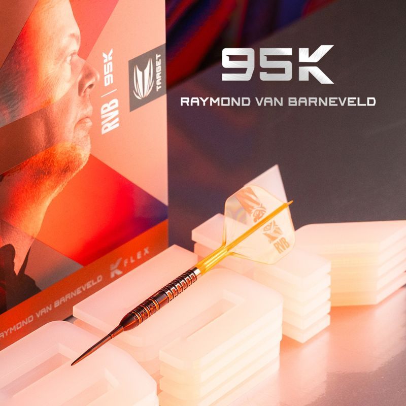 Target Raymond van Barneveld 95K SP 95% Steeldarts 21/23/25 Gram Steeldarts