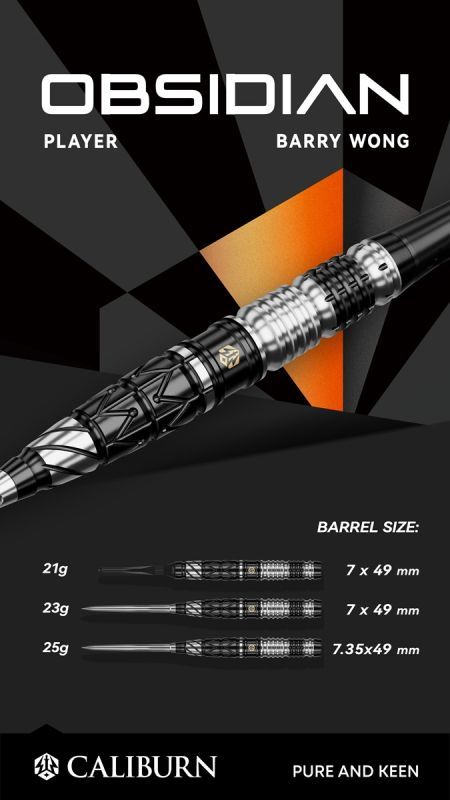 Caliburn Player Obsidian Barry Wong 90% Softdarts 21 Gramm Softdarts