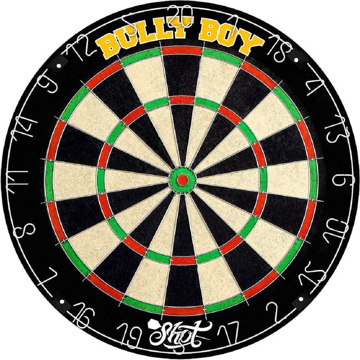 Shot Michael Smith Bristle Dartboard Steeldart Scheibe