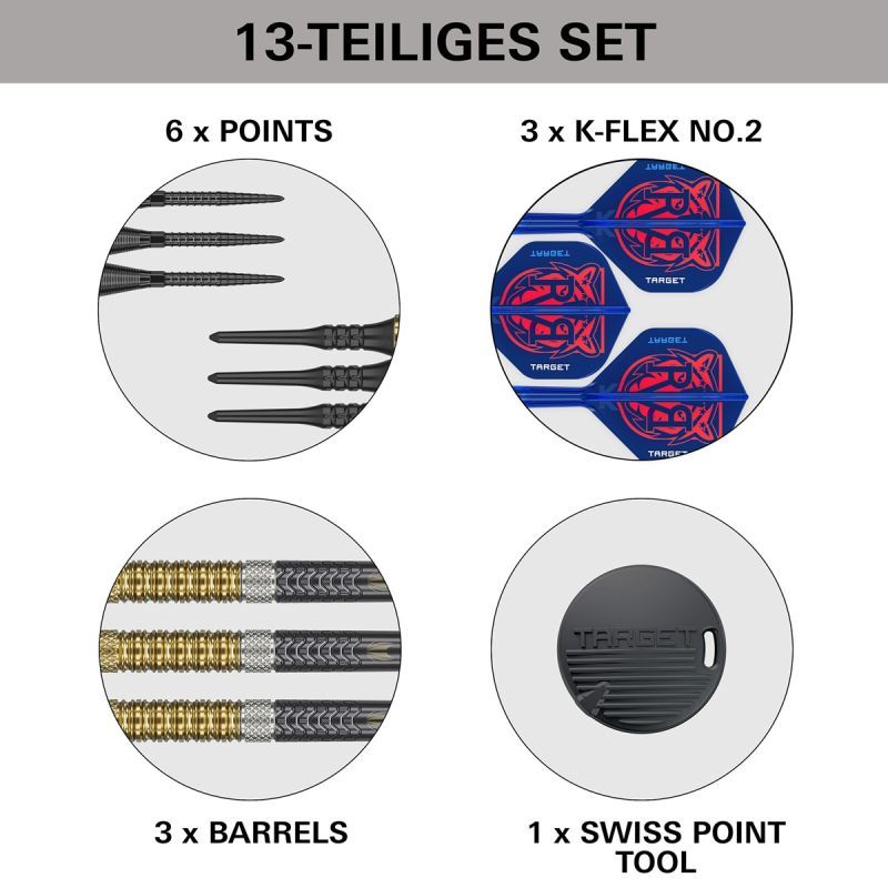 Target Raymond van Barneveld Gen 6 95% Softdarts 18/20 Gram Softdarts