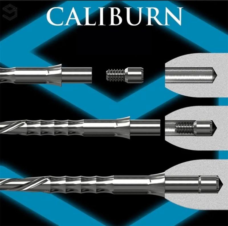 Precise180 Paul Meyer 90% Steeldarts 22/24/26 Gramm Steeldarts