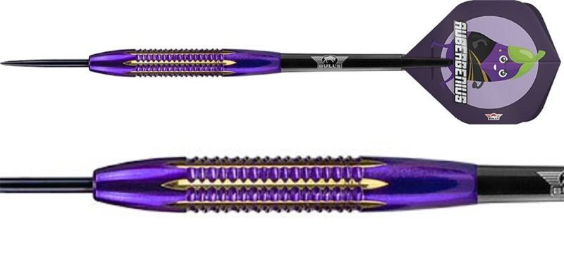 Bull's Dirk van Duijvenbode Aubergenius Brass Steeldarts 21 Gramm Steel Dart Pfeile