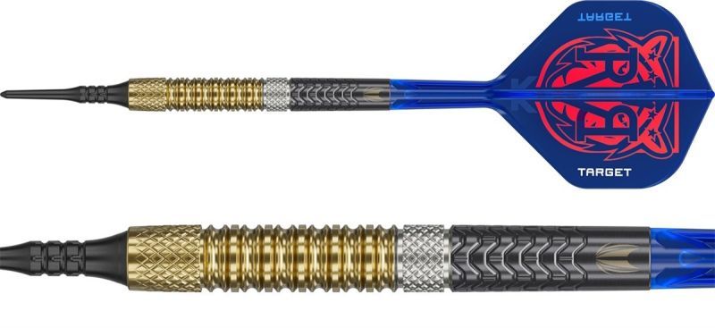 Target Raymond van Barneveld Gen 6 95% Softdarts 18/20 Gram Softdarts