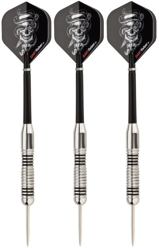 Mega Starter-Set Dartboard Gladiator 3 Surround & equipment Bristle Board