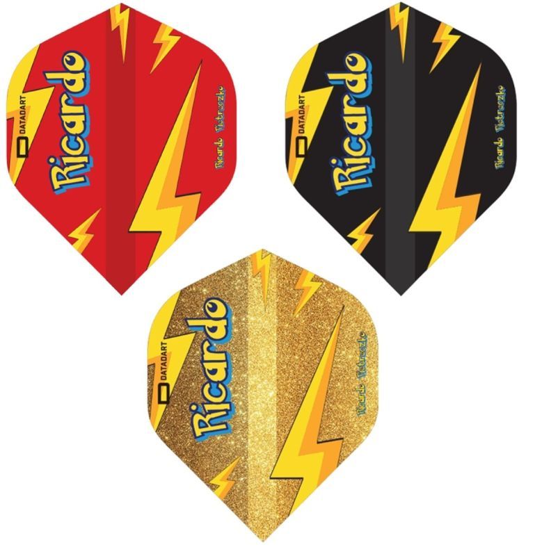 Datadart Dart Flights Ricardo Pietreczko Standard Flights
