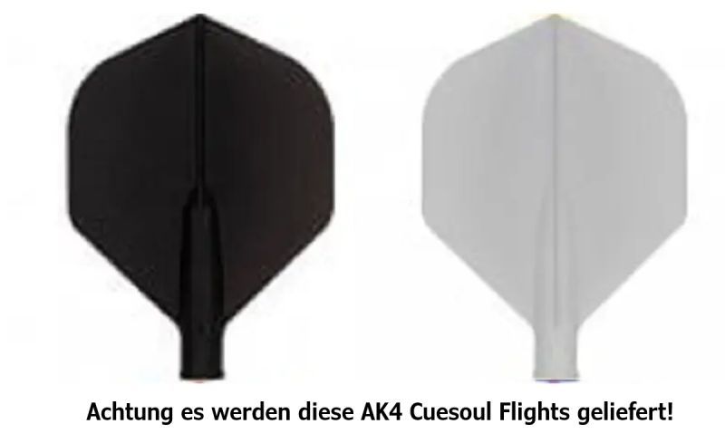 Cuesoul TERO AK4 Flight Standard eigenes Bild Logo Text personalisiert Flights