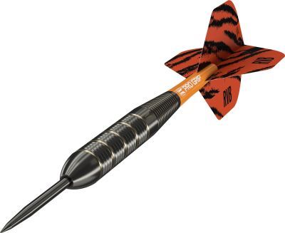 Target Brass Raymond van Barneveld Steeldarts 2023 22 Gram Steeldarts