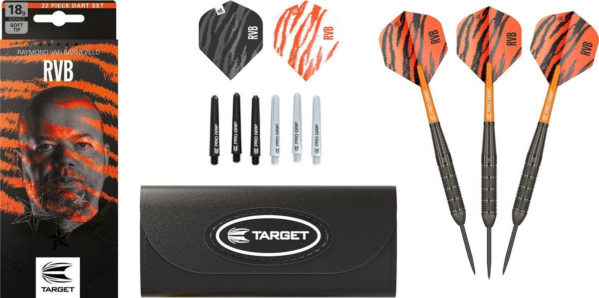 Target Brass Raymond van Barneveld Steeldarts 2023 22 Gramm Steeldarts